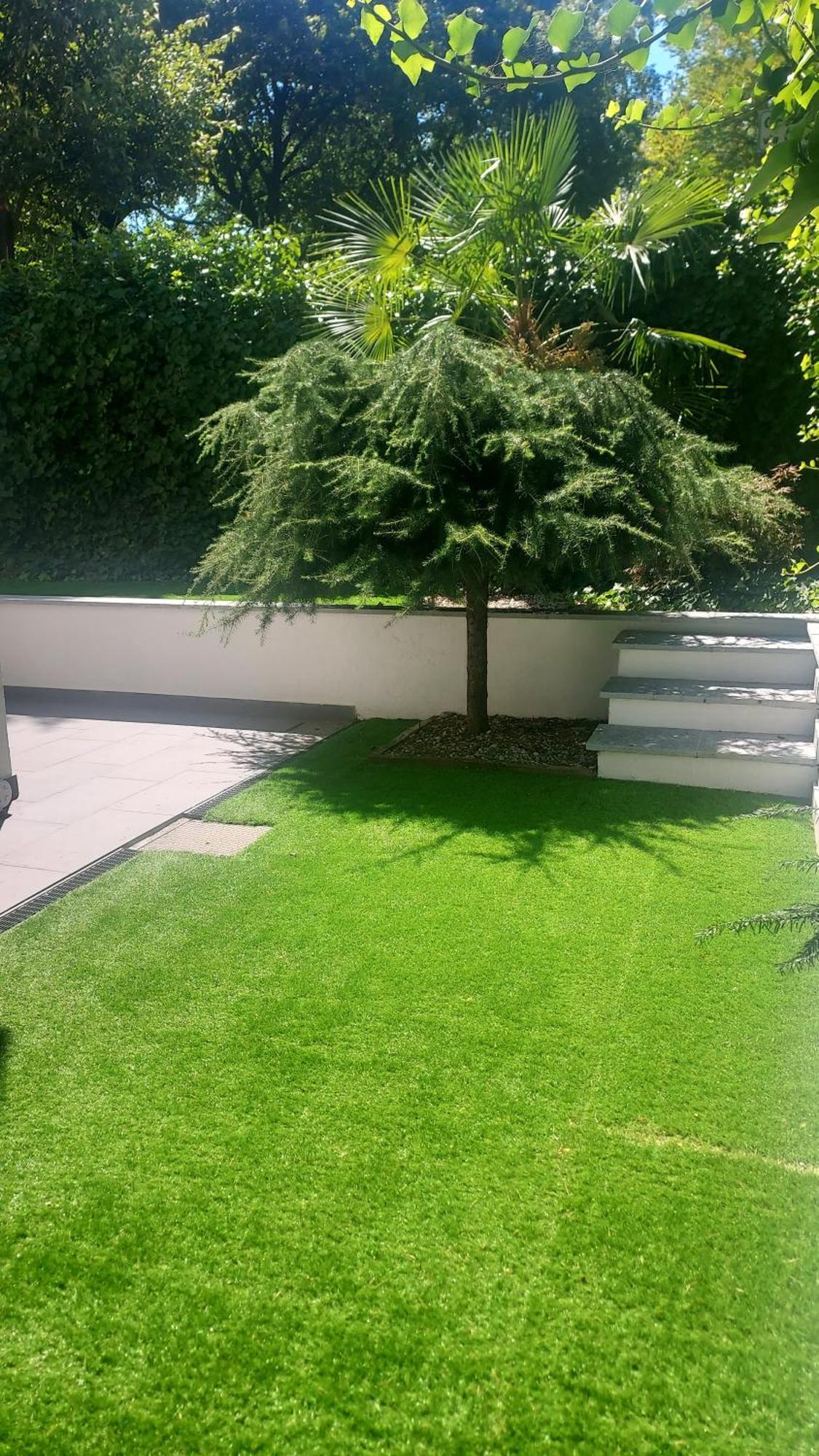 Apartment Romana